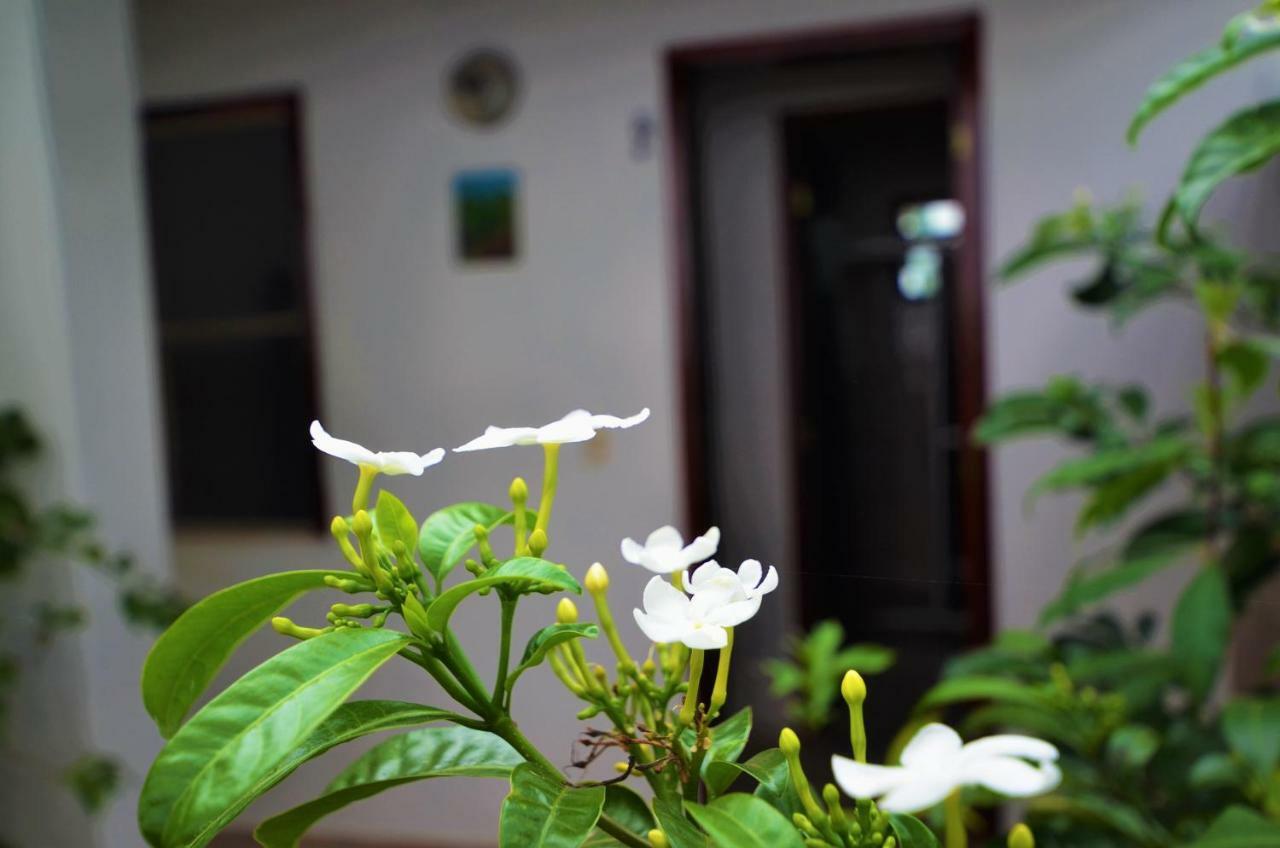 Doce Lar Hospedaria Lencois Exterior foto